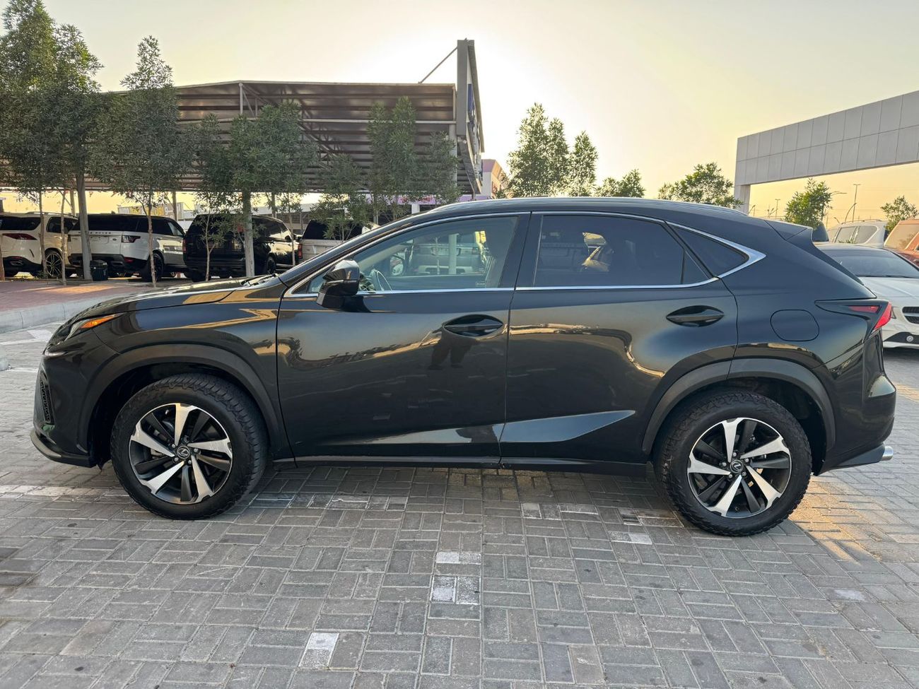 Lexus NX300 Lexus Nx300 2020