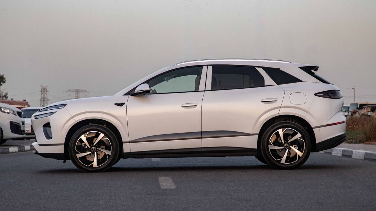 بي واي دي سيليون 06 170KM PILOT PLUS EDITION with HUD | 2025 | Ready Stock Limited QTY | For Local Registration +10