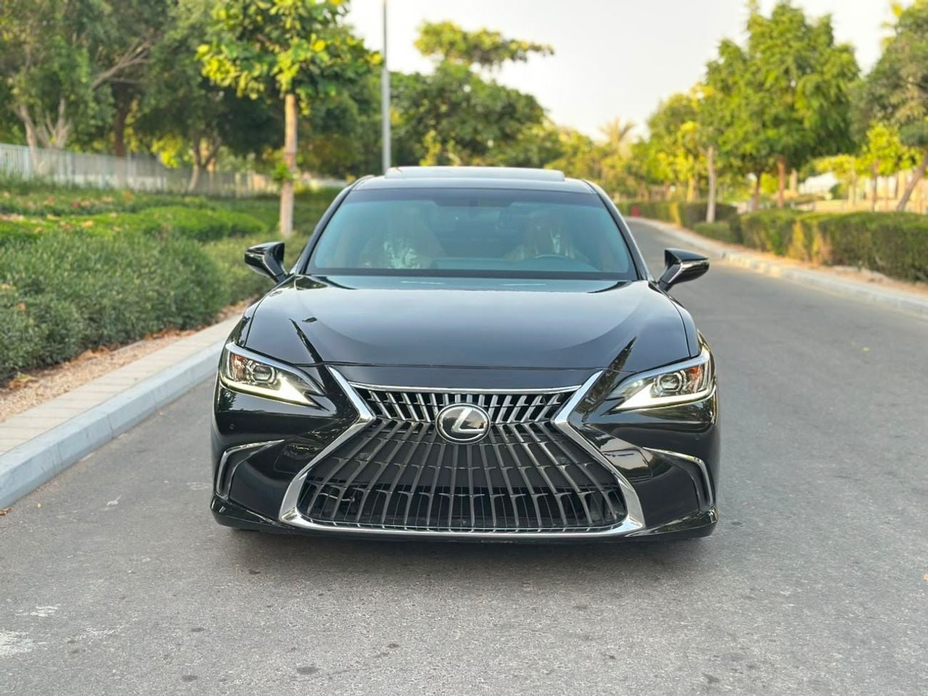 Lexus ES350 PLATINUM