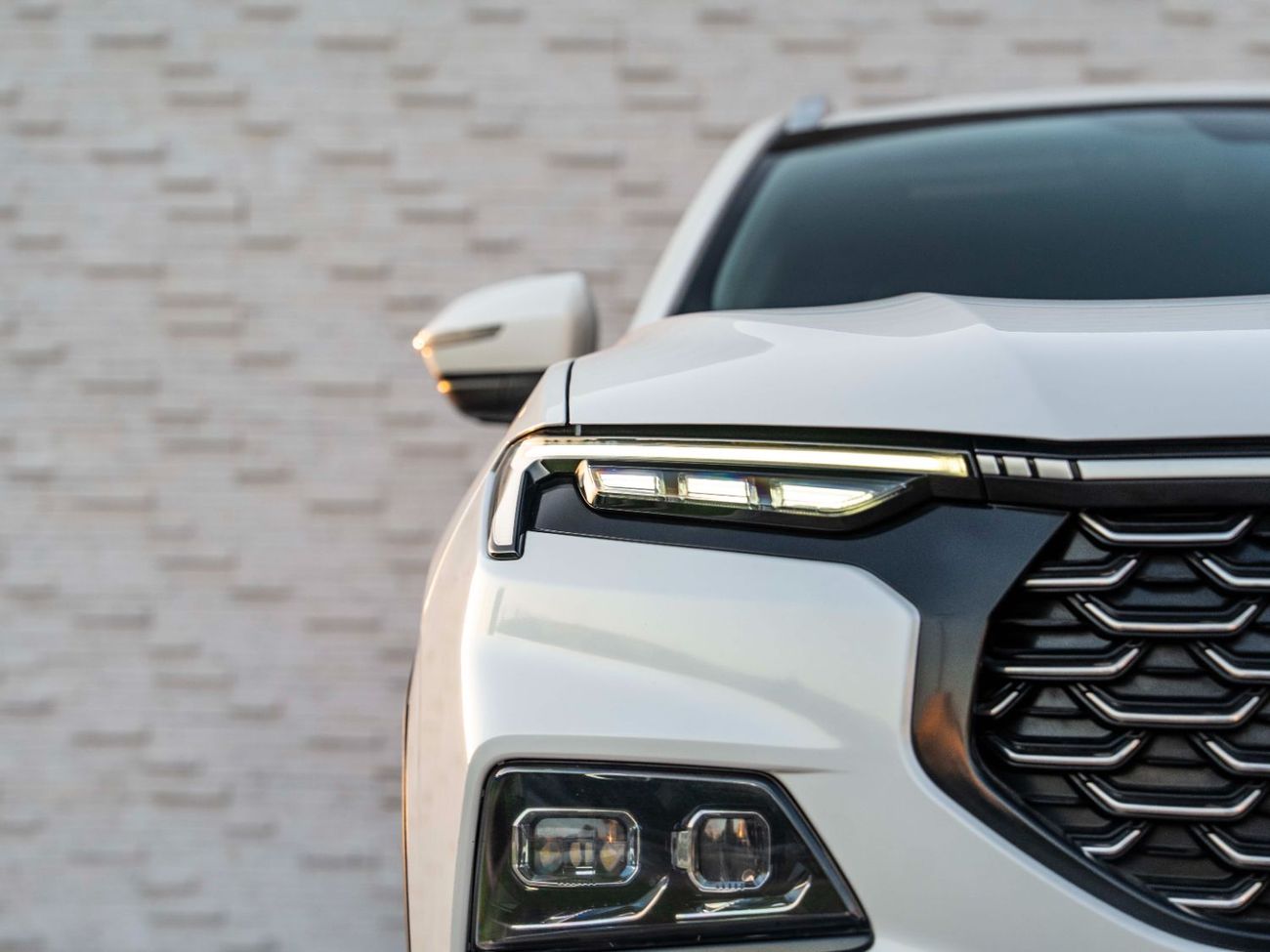 فورد تيريتوري Trend