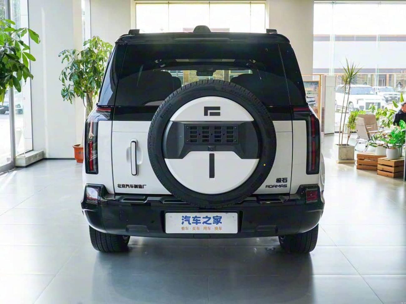 روكس أداماس VIP ADAMAS 6 SEATS  AND 7 SEETAS