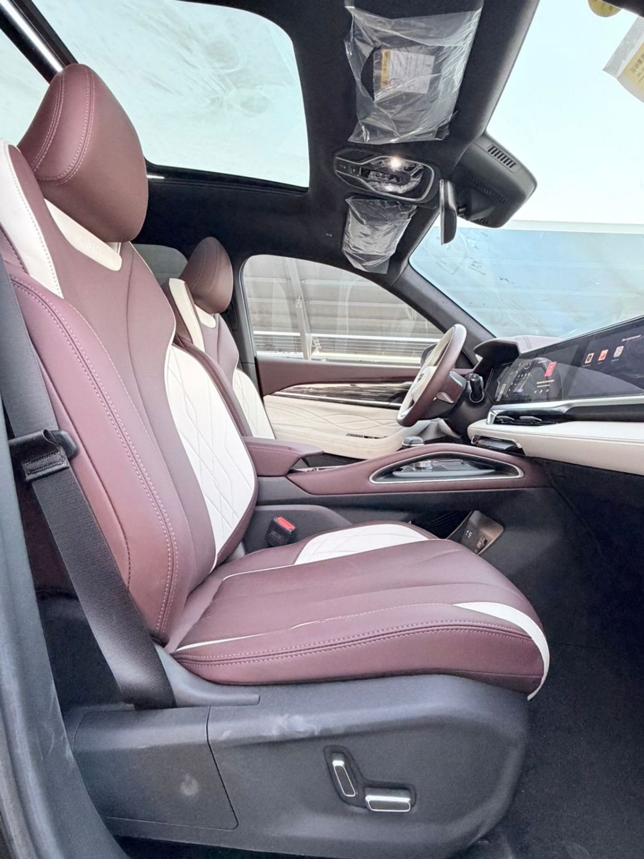 جيلي مونجارو