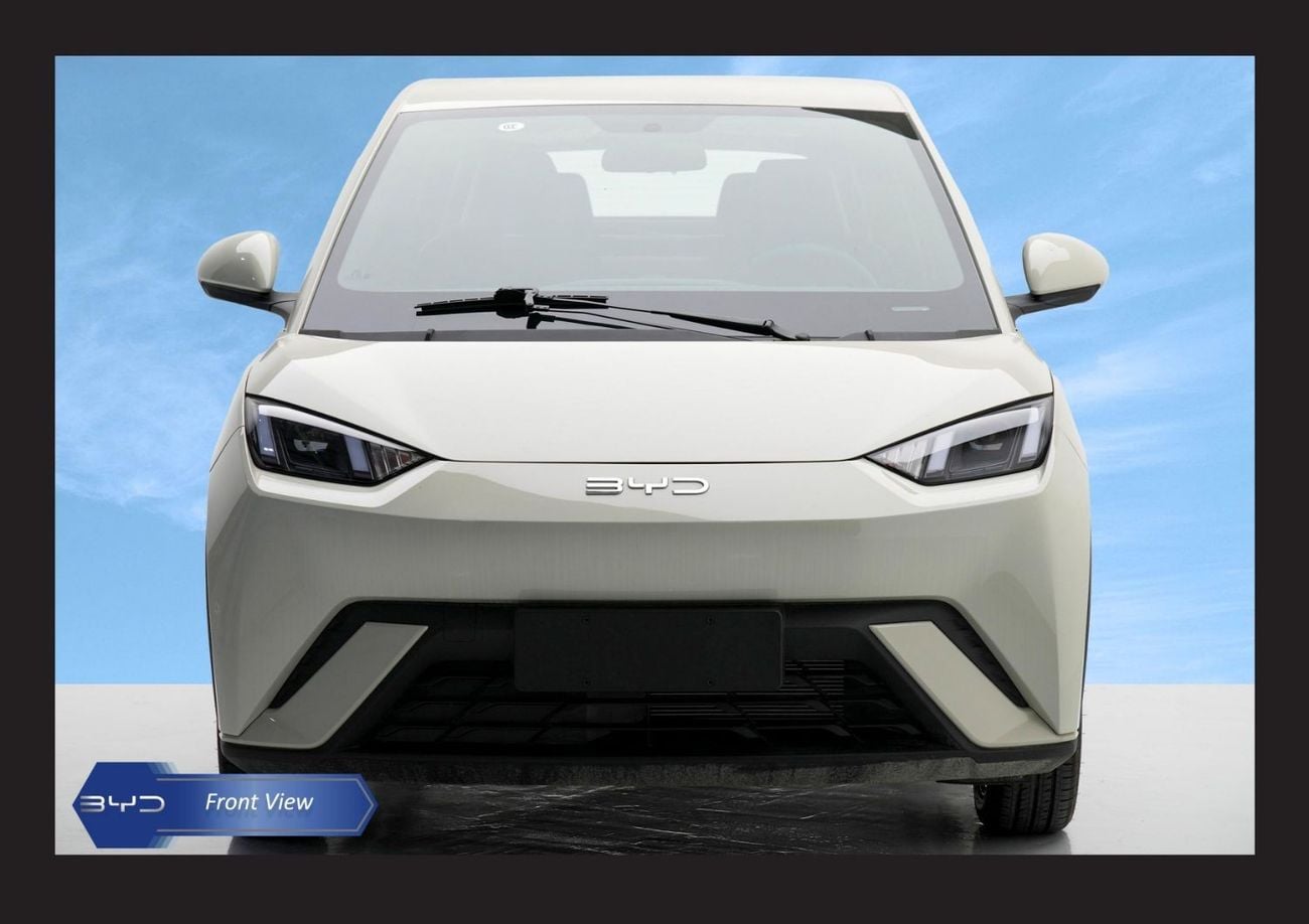 BYD Seagull FLYING HATCHBACK HI AT ELECTRIC Car 2024 Model