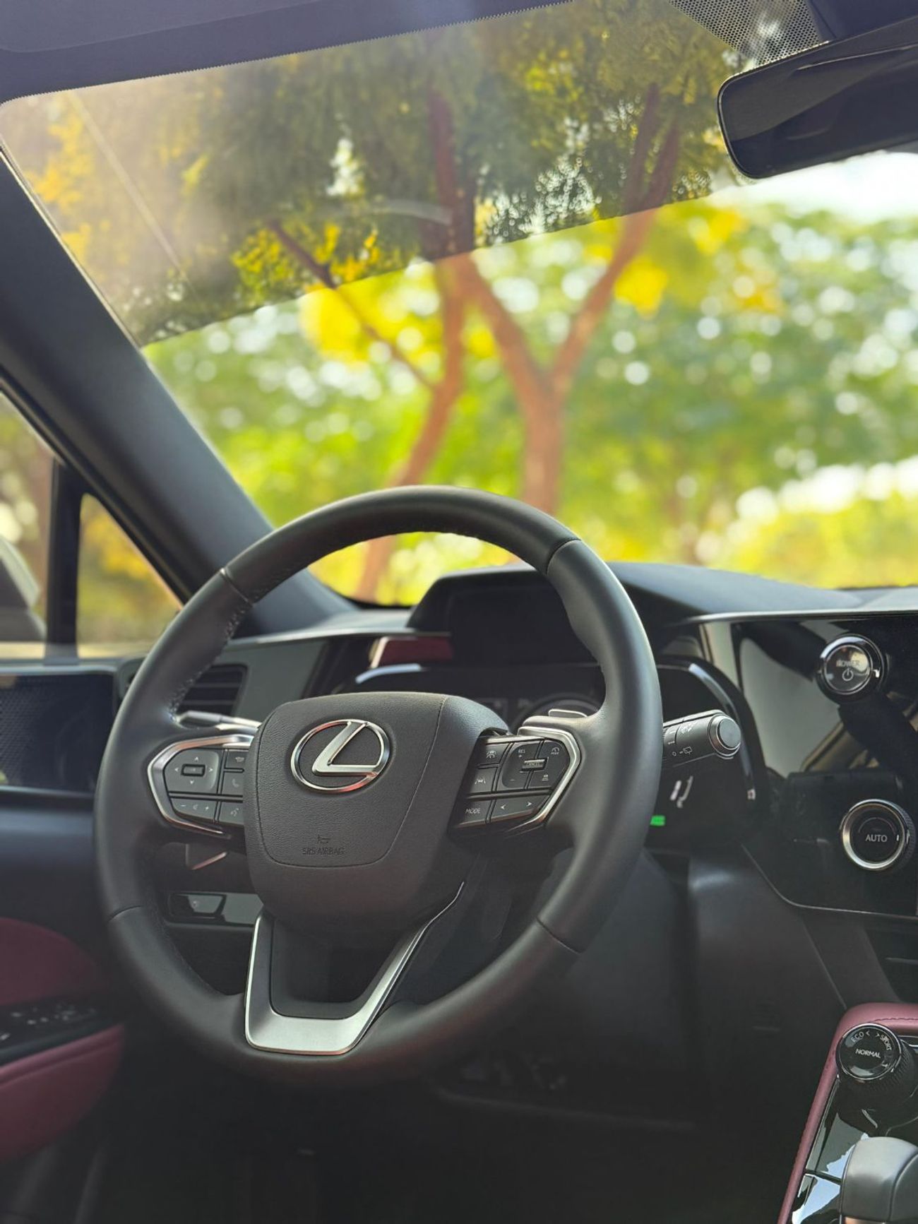 Lexus NX350h Hybrid Executive 2.5L