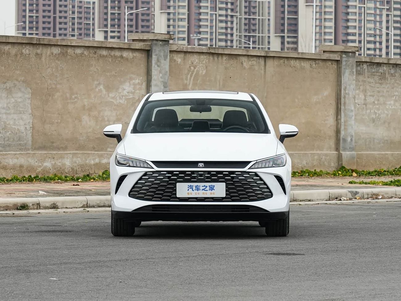 بي واي دي كين بلاس ستاندارد الإصدار التدريجي DM-i 210 كم | 2026 | قريباً