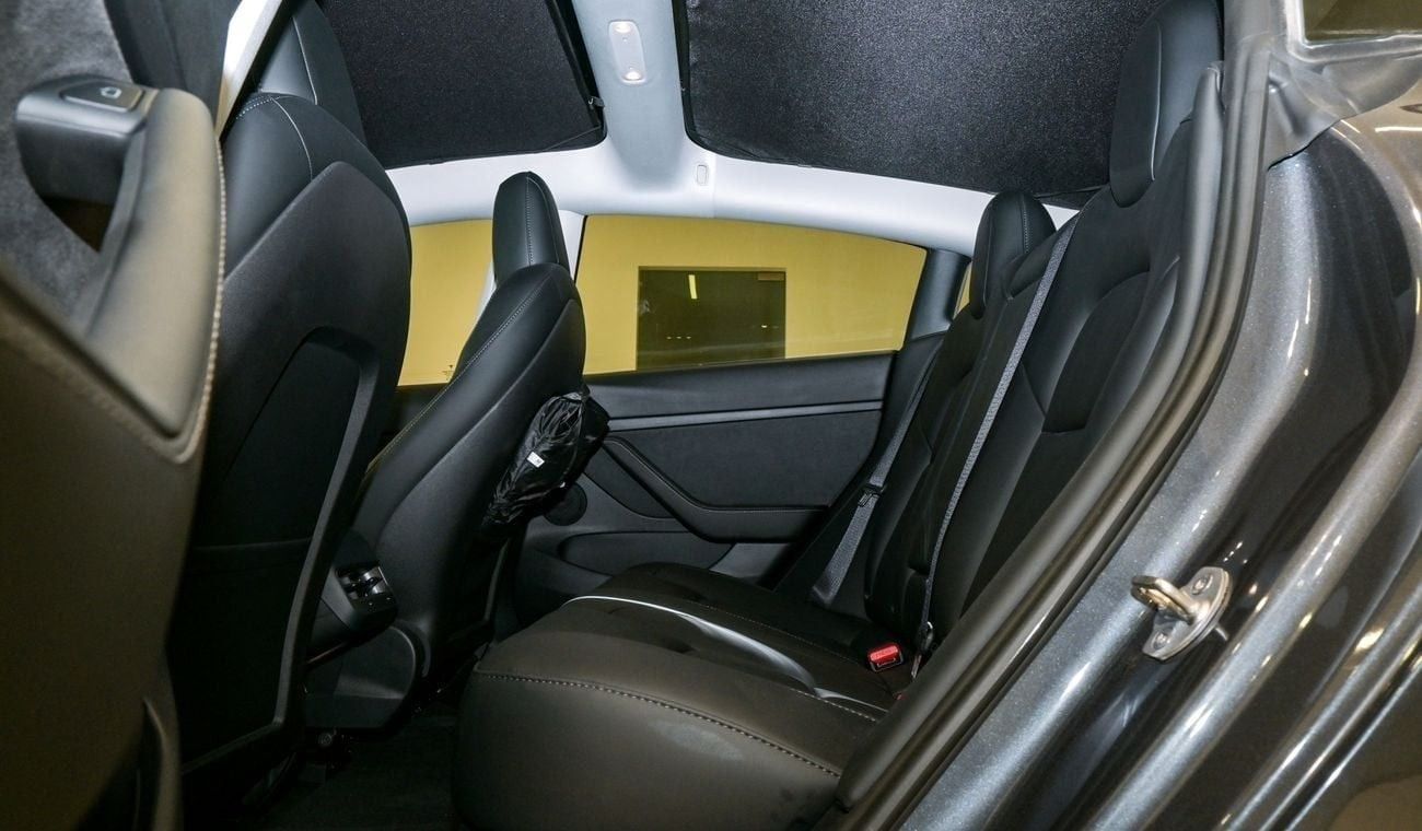 Tesla Model 3 Performance