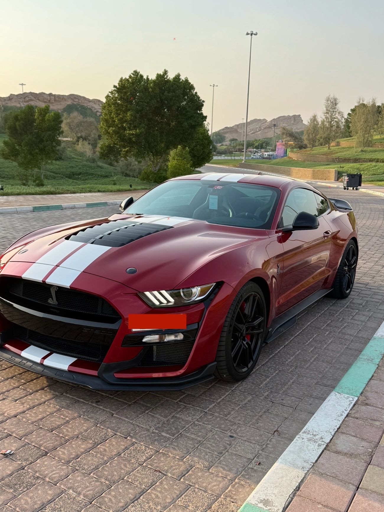 Ford Mustang Shelby GT500