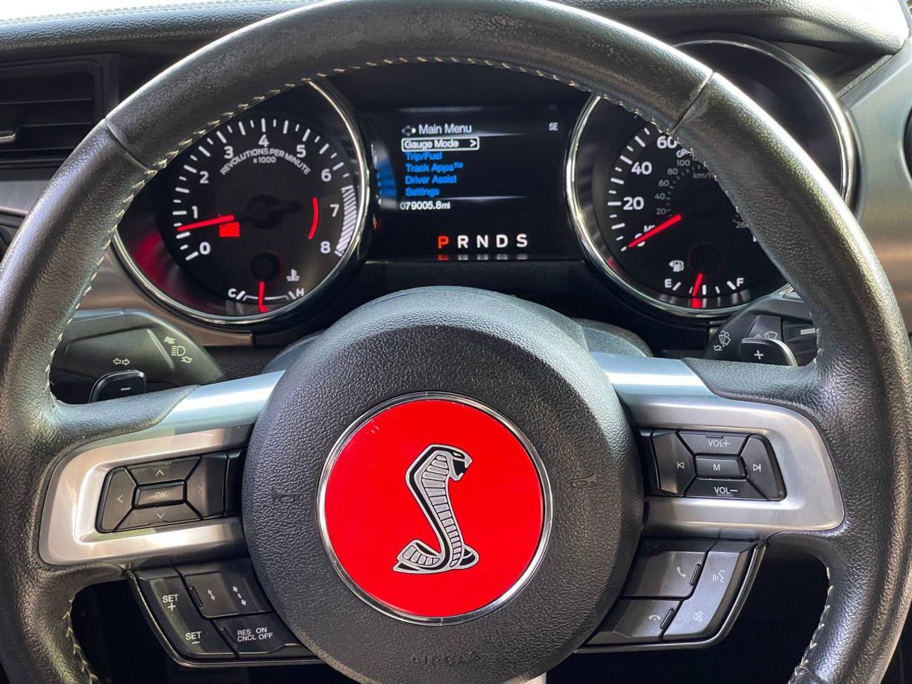 Ford Mustang GT Premium 5.0L V8 GT / 5.0L V8 / SPECIAL CALIFORNIA / SHELBY KIT / LEATHER / LOW MILEAGE / BLIND SP