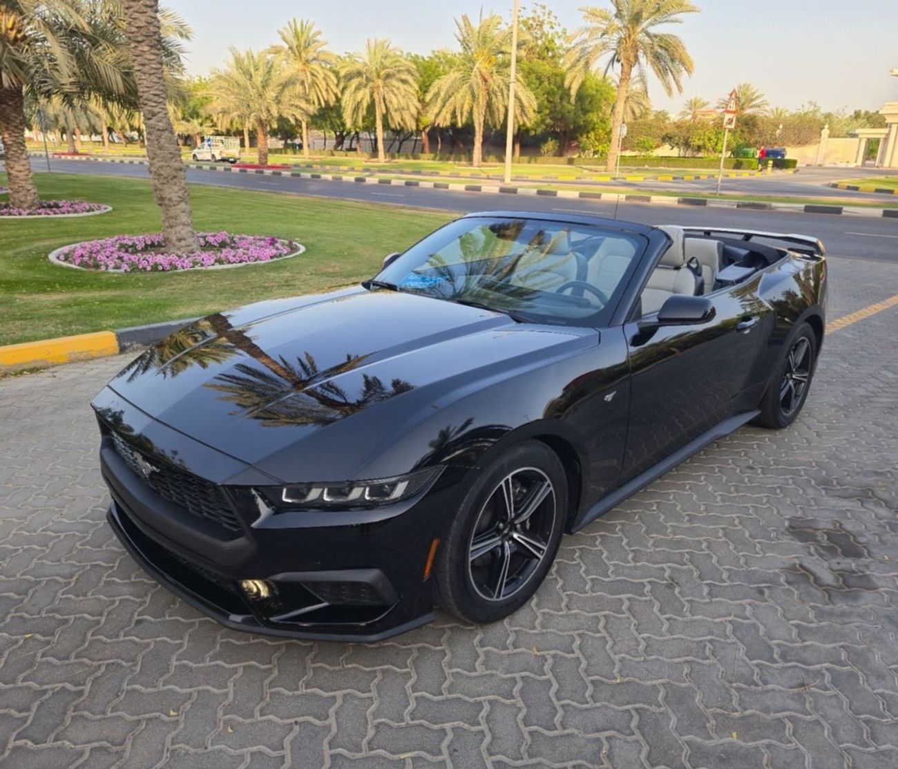 Ford Mustang EcoBoost 2.3L Convertible A/T