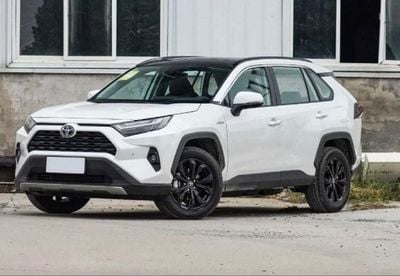 Toyota RAV4 RAV4/ 2025 / Chinese / 0km