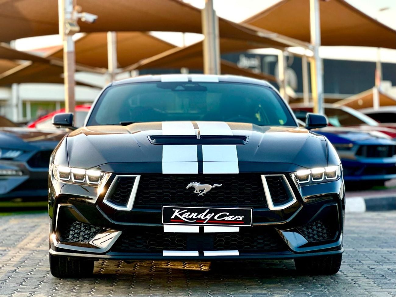 فورد موستانج STD