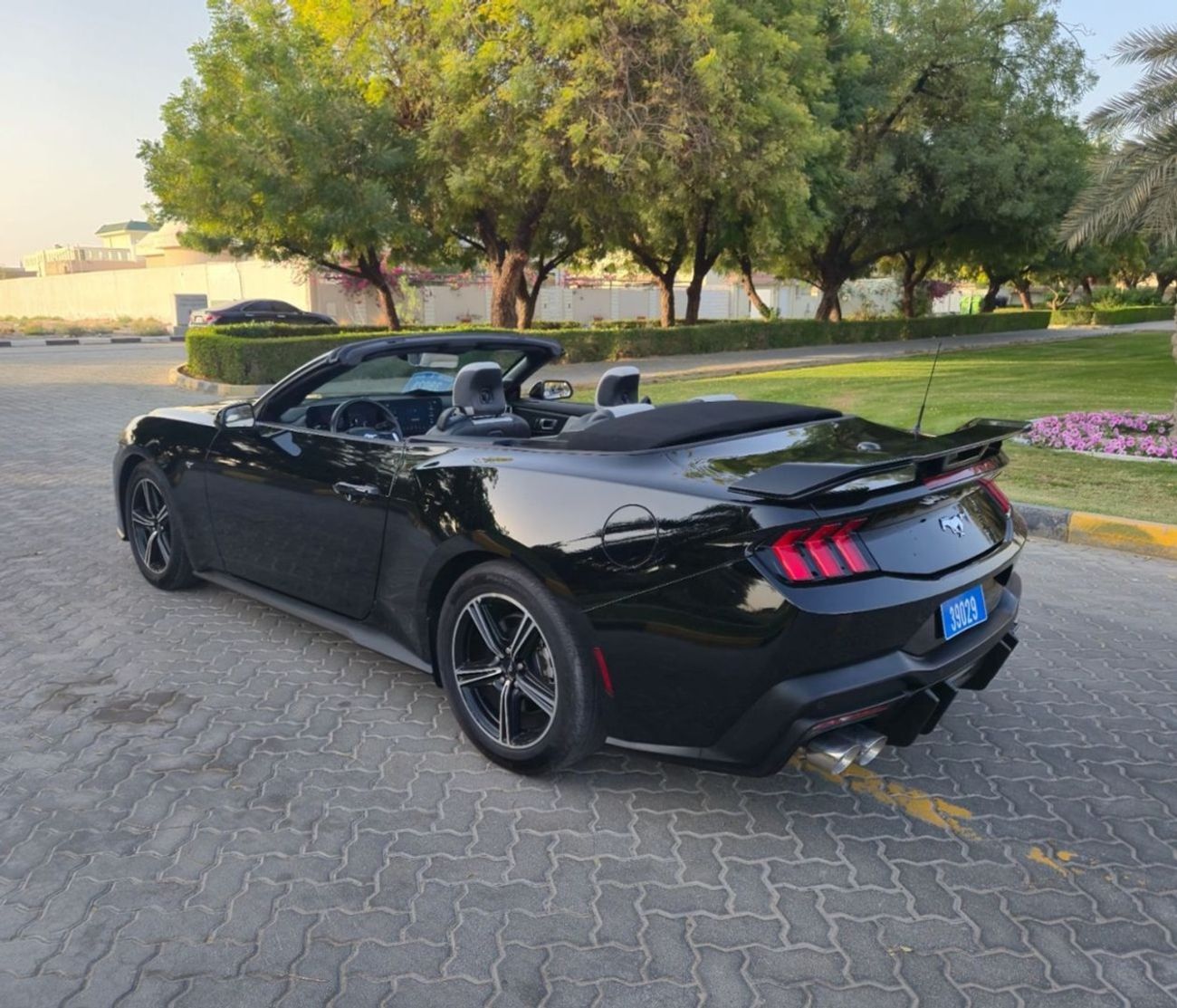 Ford Mustang EcoBoost 2.3L Convertible A/T