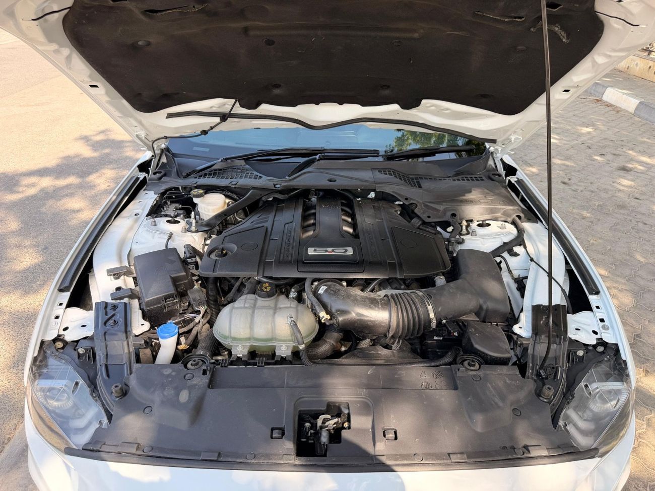 Ford Mustang GT California Special 5.0L (435 HP) Coupe A/T