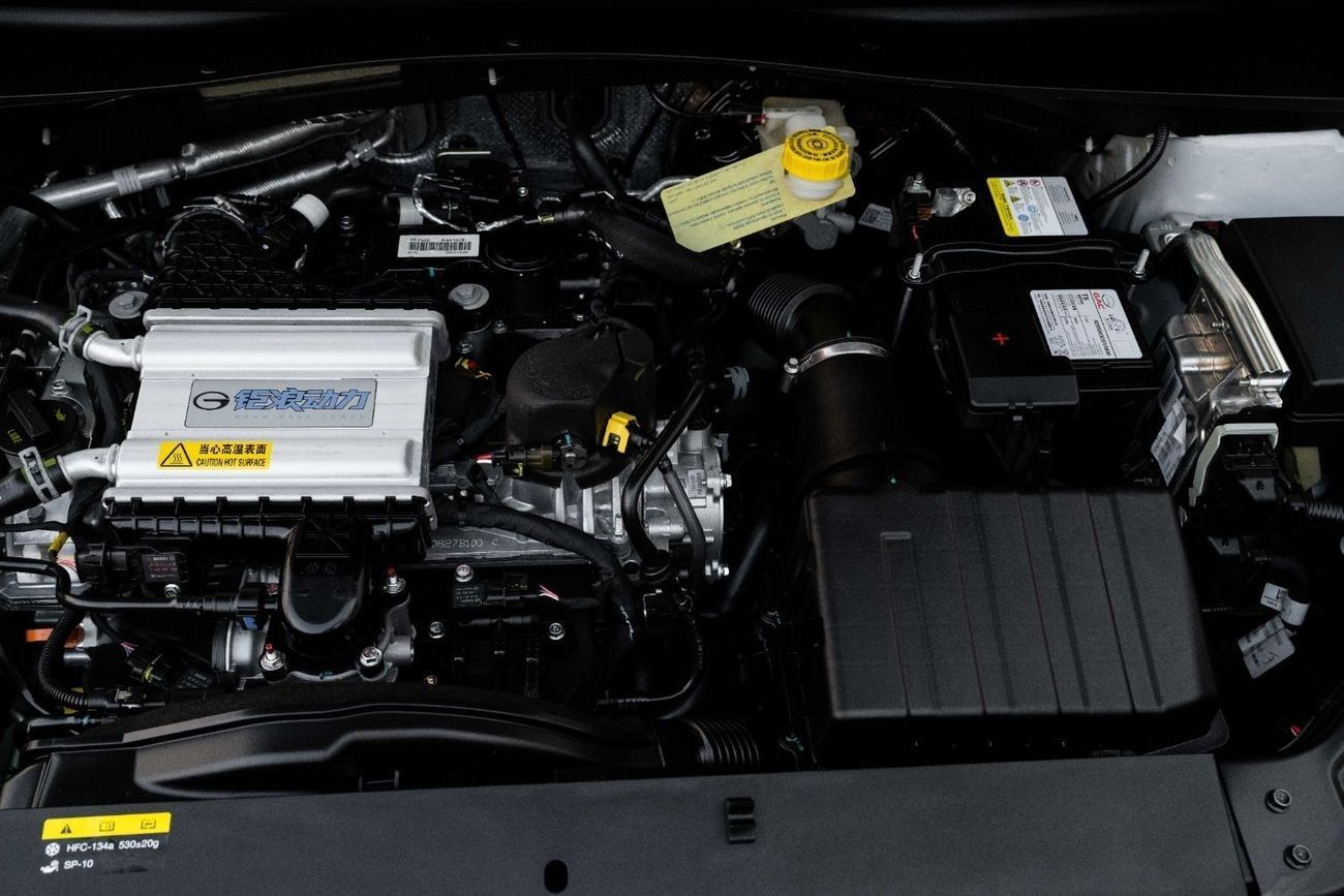 GAC EMKOO GL | 1,723 P.M  | 0% Downpayment | Brand New! Warranty!