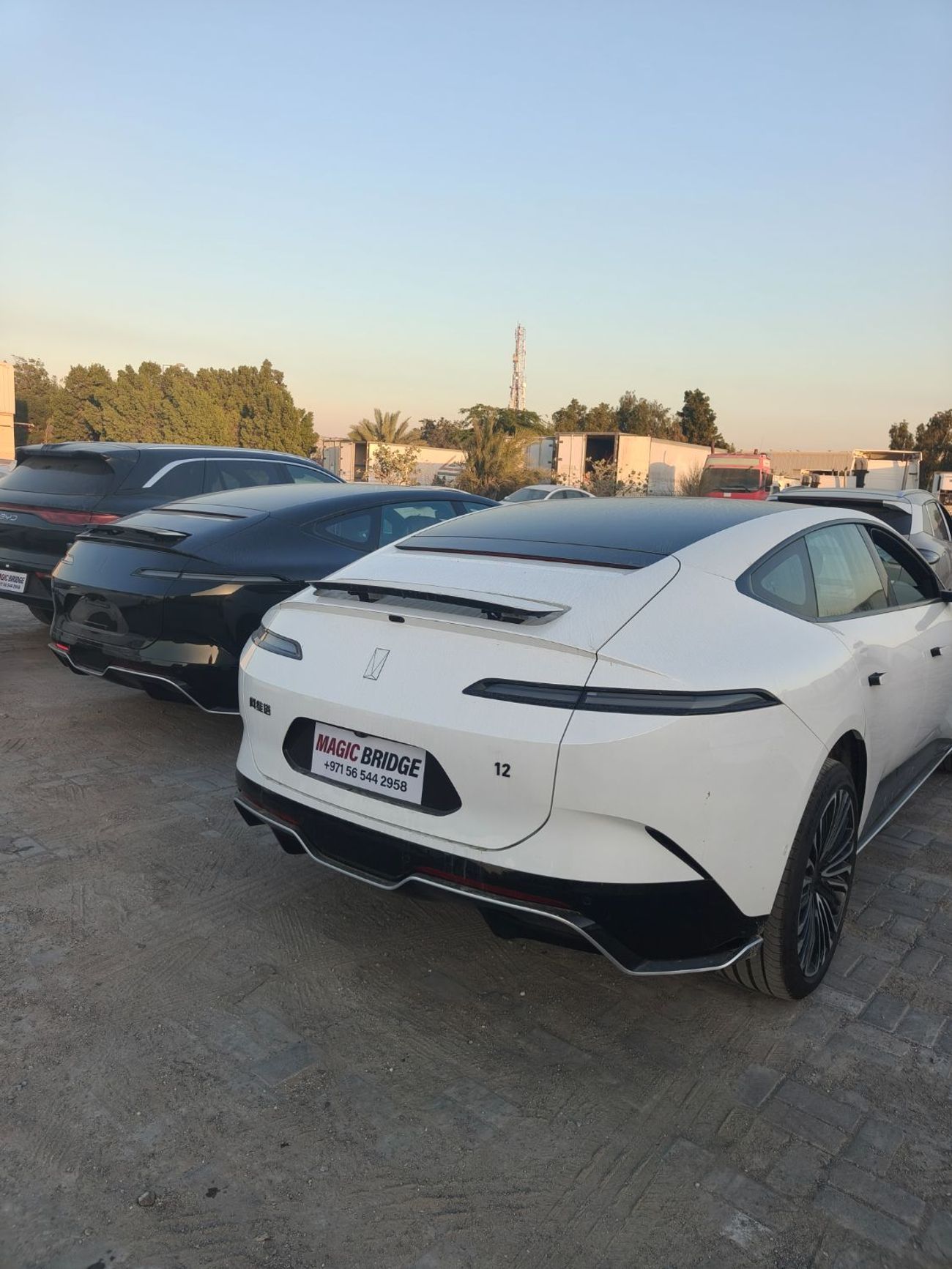 أفاتر 12 أفاتار 12 4WD ماستر سيارة كهربائية بالكامل