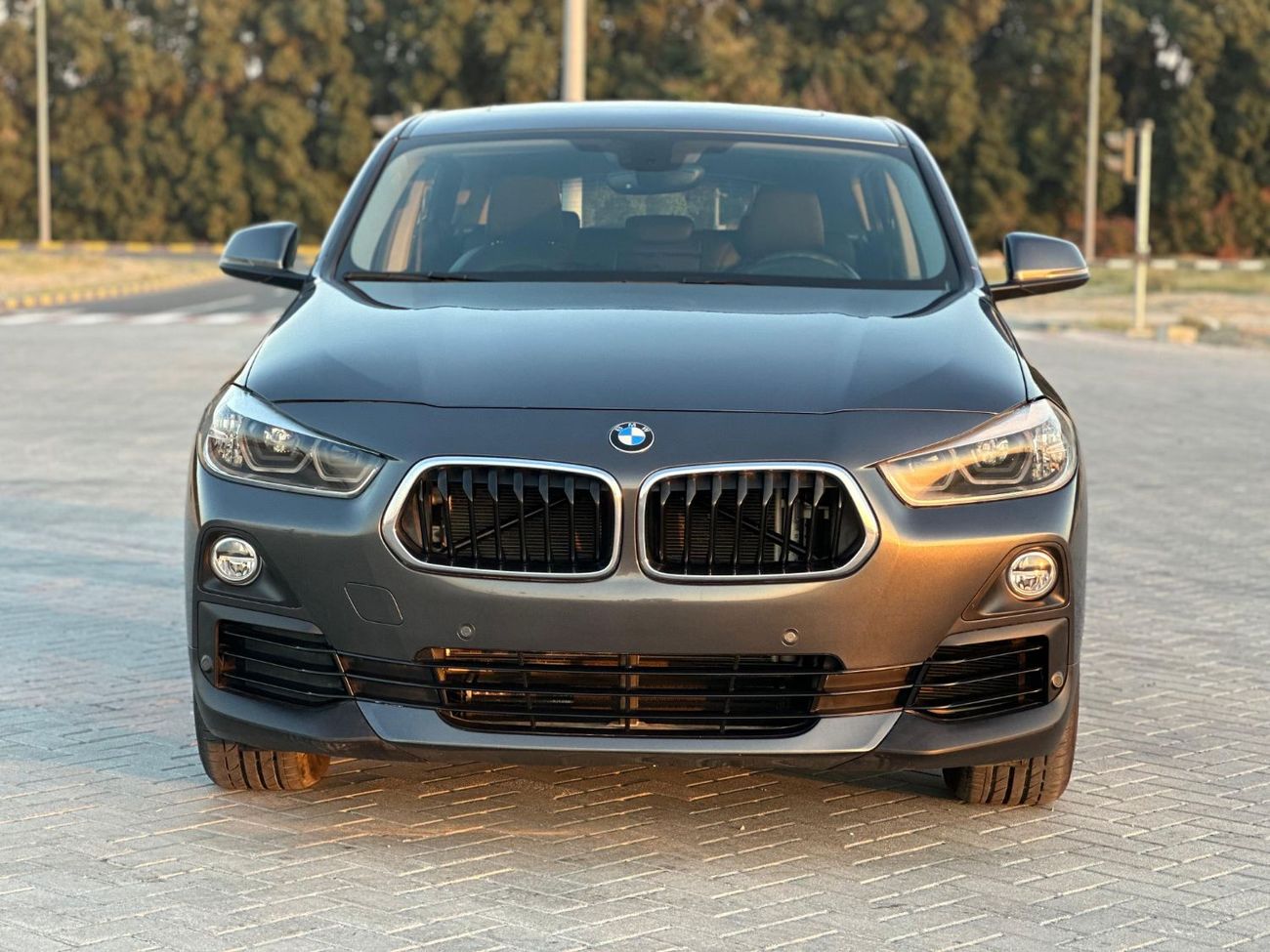 بي أم دبليو X2