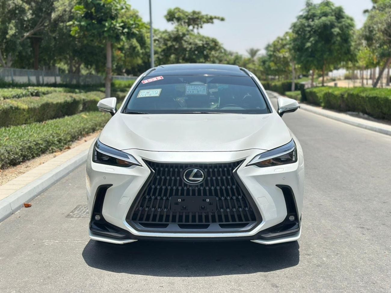 Lexus NX350 PREMIER — фото 1