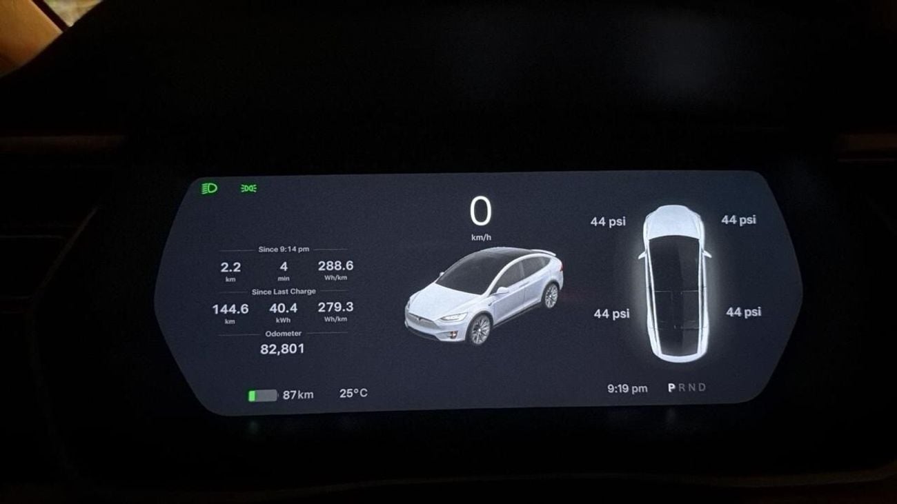 تسلا موديل اكس P100 D Long range