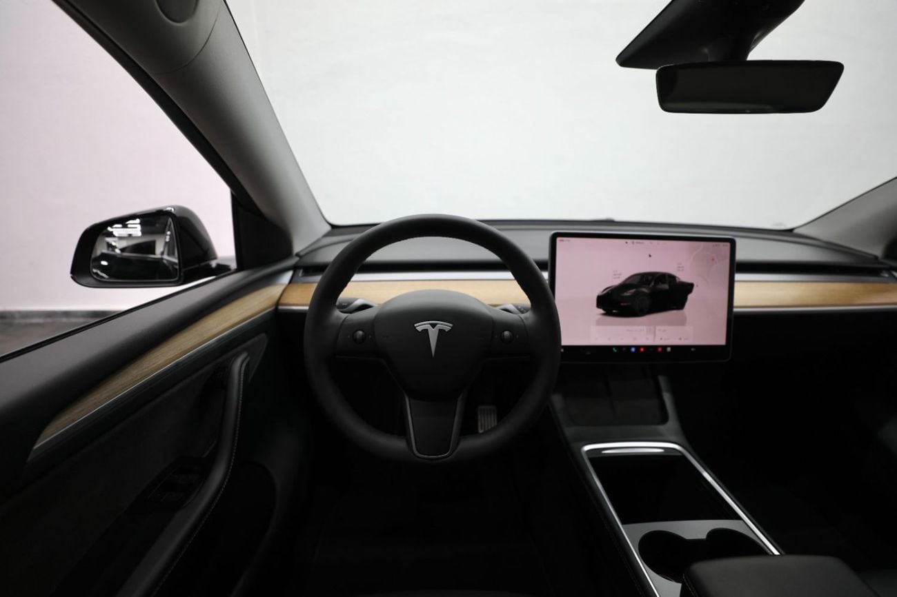 Tesla Model Y PERFORMANCE