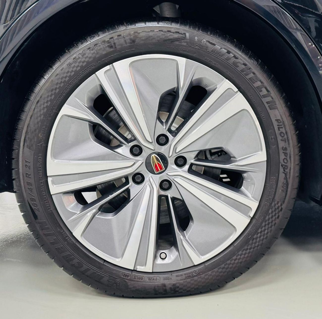 HONGQI EHS9 Brand new .. Top Range