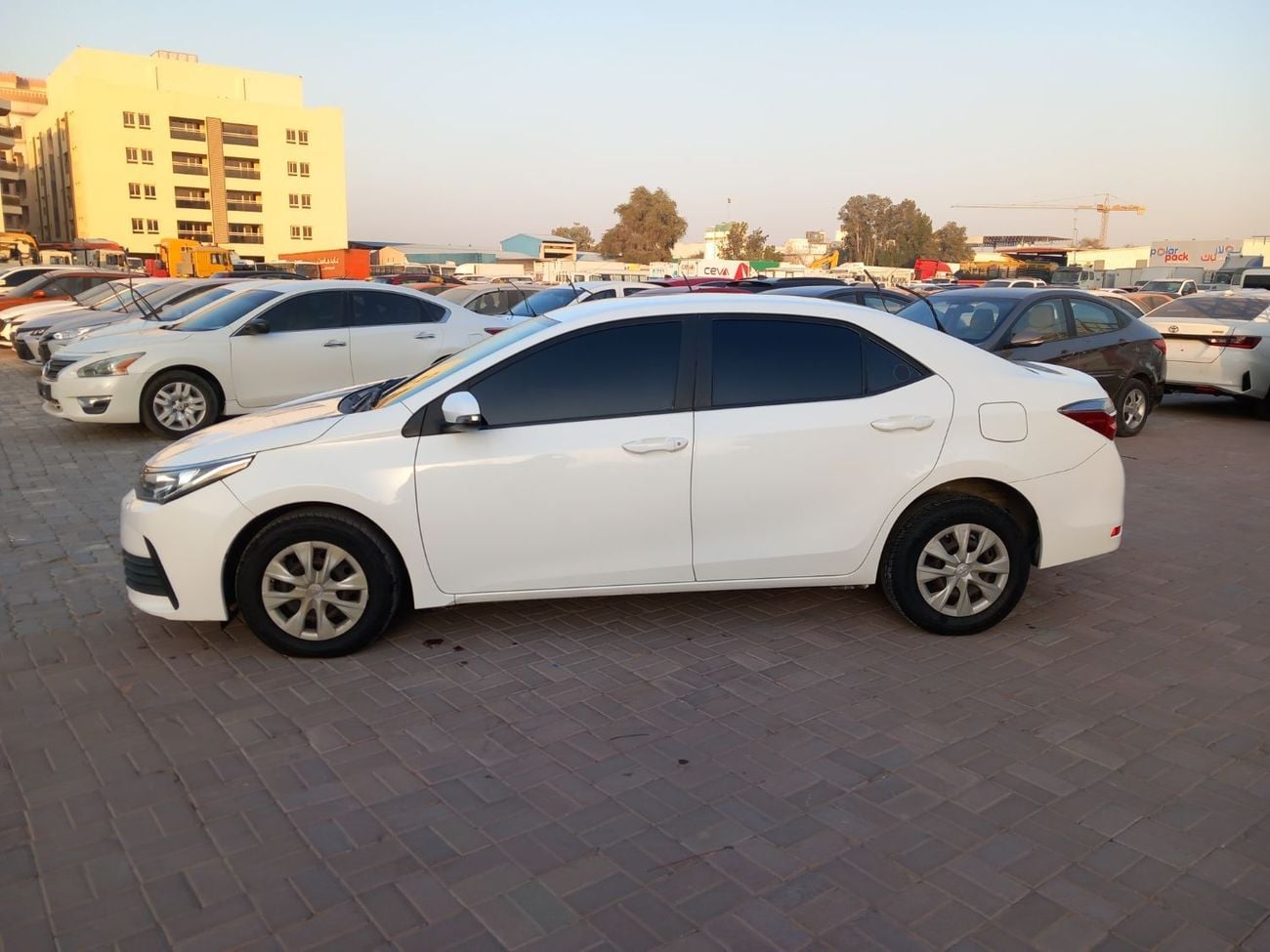 Toyota Corolla SE