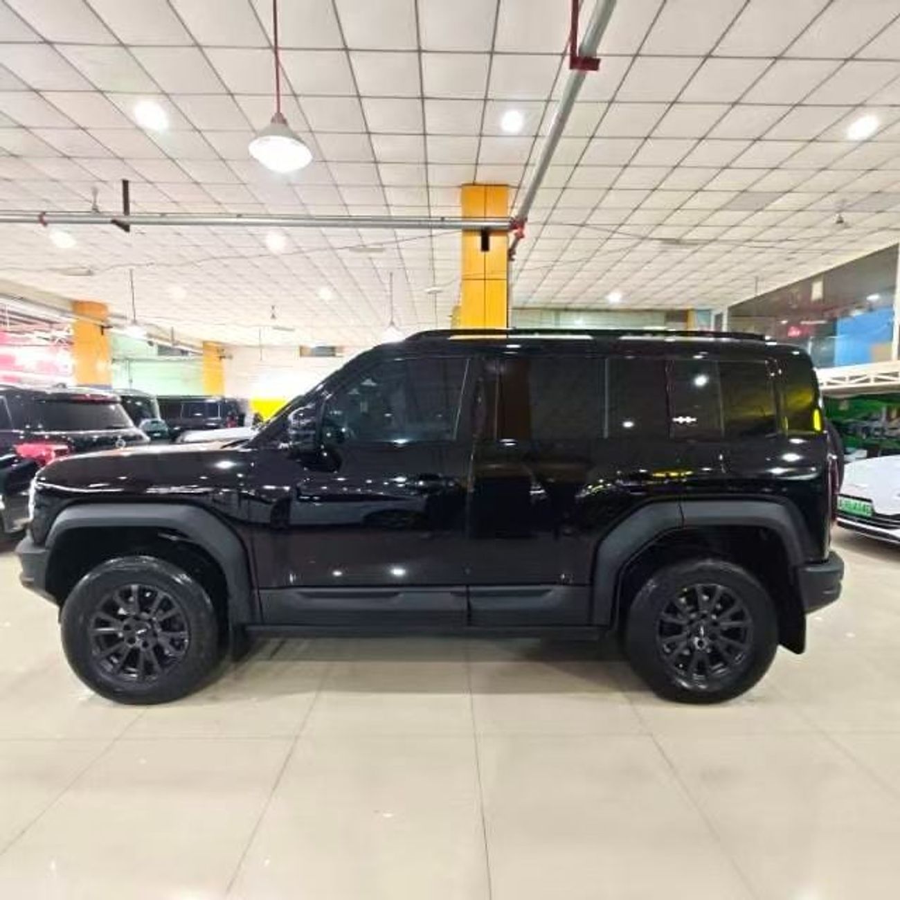 BYD Leopard 5 Explorer Edition