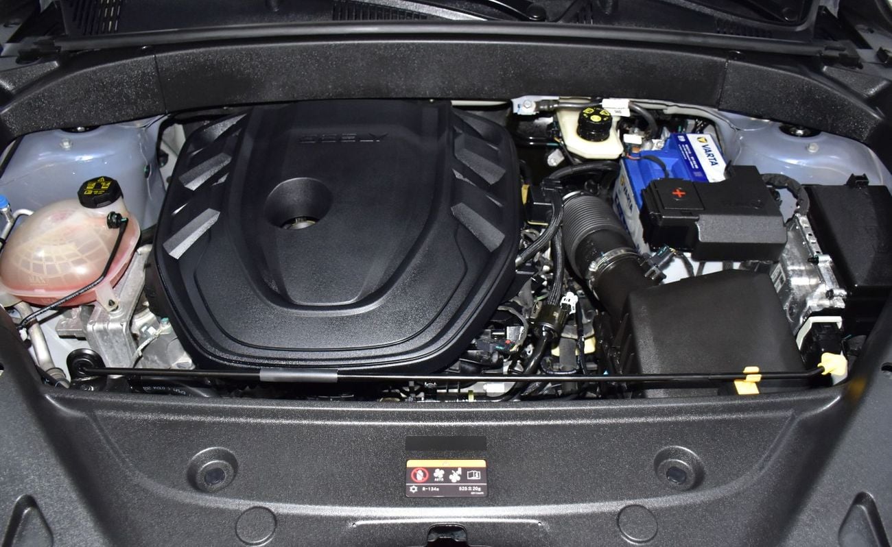 Geely Starray EXCELLENT DEAL for our Geely Starray ( 2025 Model ) in Blue Color GCC Specs
