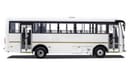 Ashok Leyland Falcon ASHOK LEYLAND EAGLE 32 + 1 SEATER BUS WITH/ WITHOUT A/C MY 23