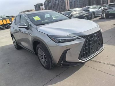 Lexus NX350 Lexus 350 / 2025 / Chinese