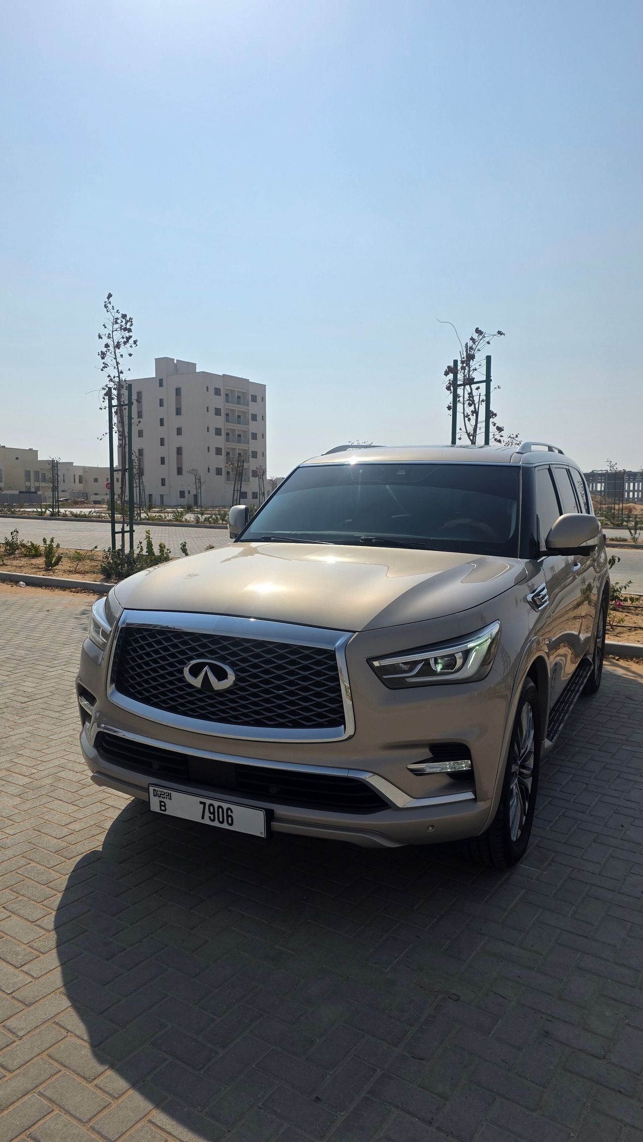 Infiniti QX80 LUXE SENSORY PROACTIVE
