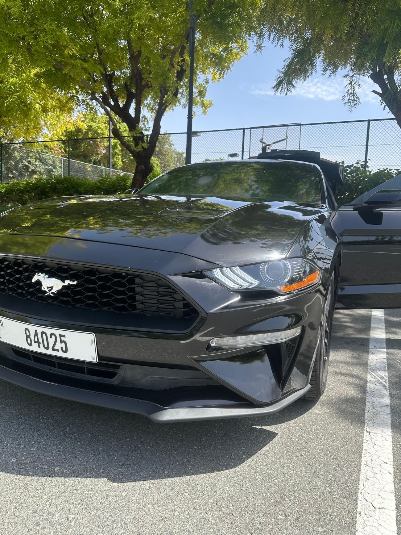 Ford Mustang Ecoboost
