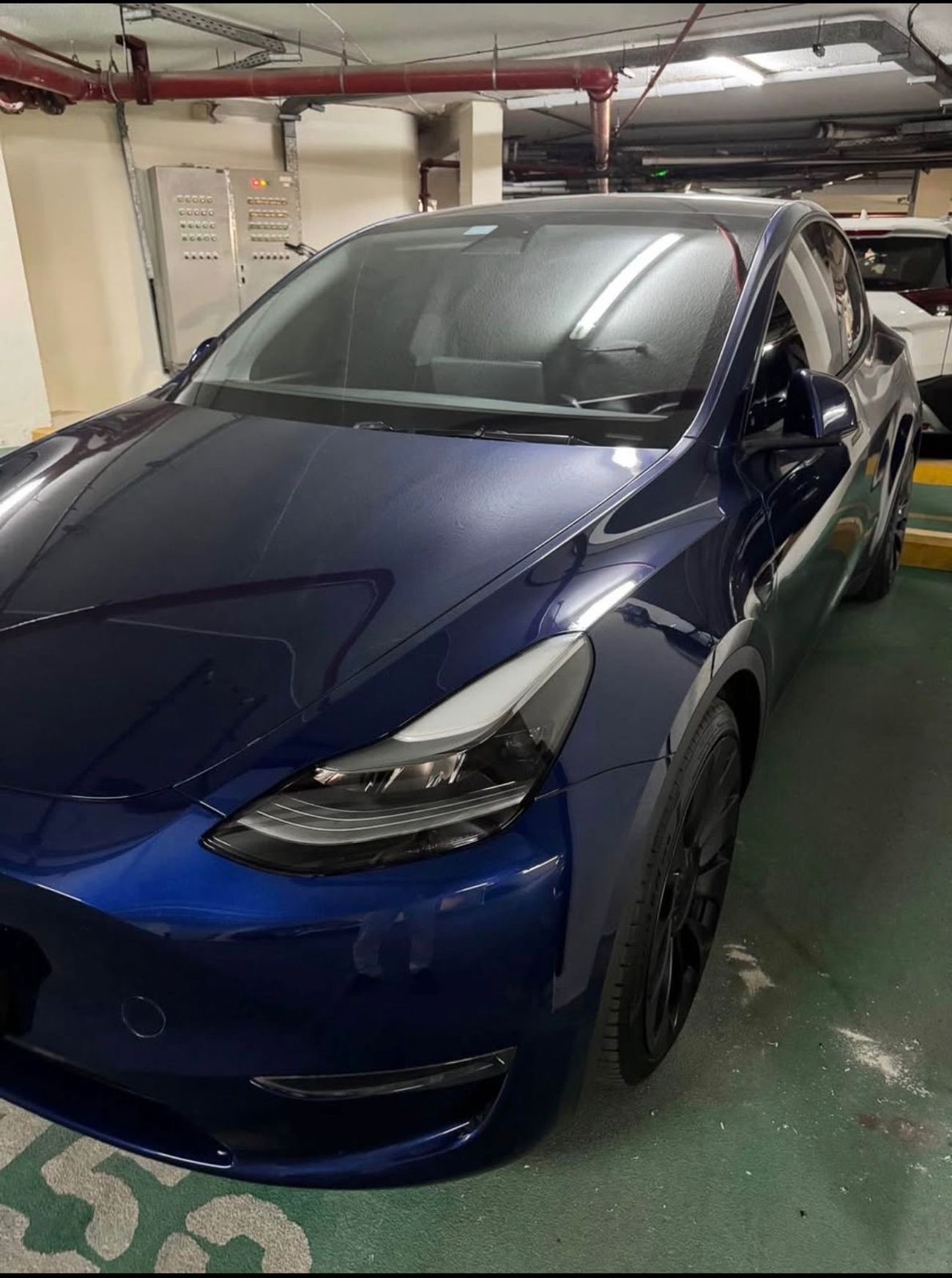 تسلا موديل Y