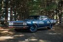 Plymouth Road Runner 426 Hemi Hellephant powered 1 of 1 Pro Touring Restomod