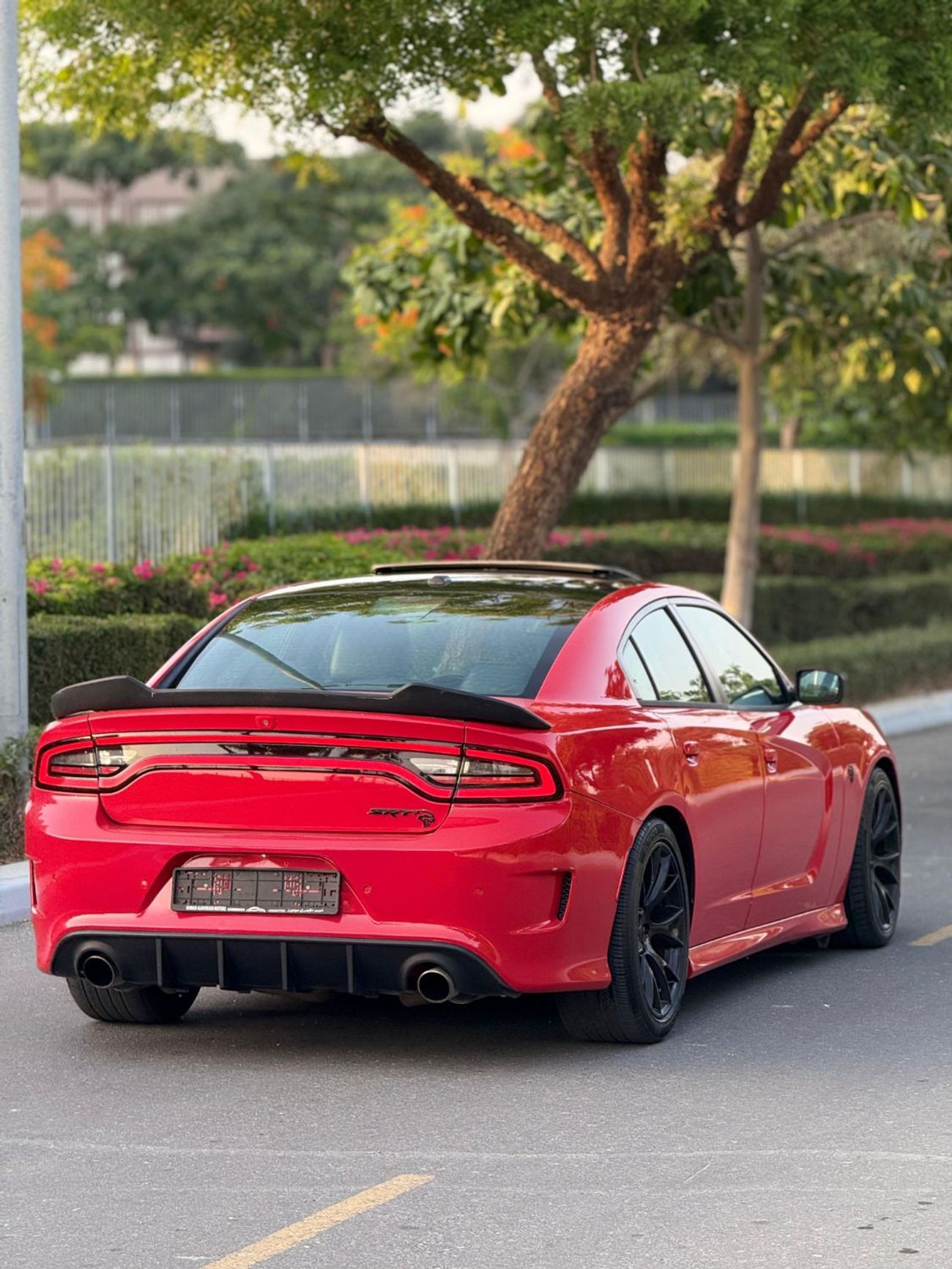 Dodge Charger SRT Hellcat 6.2L (707 HP)