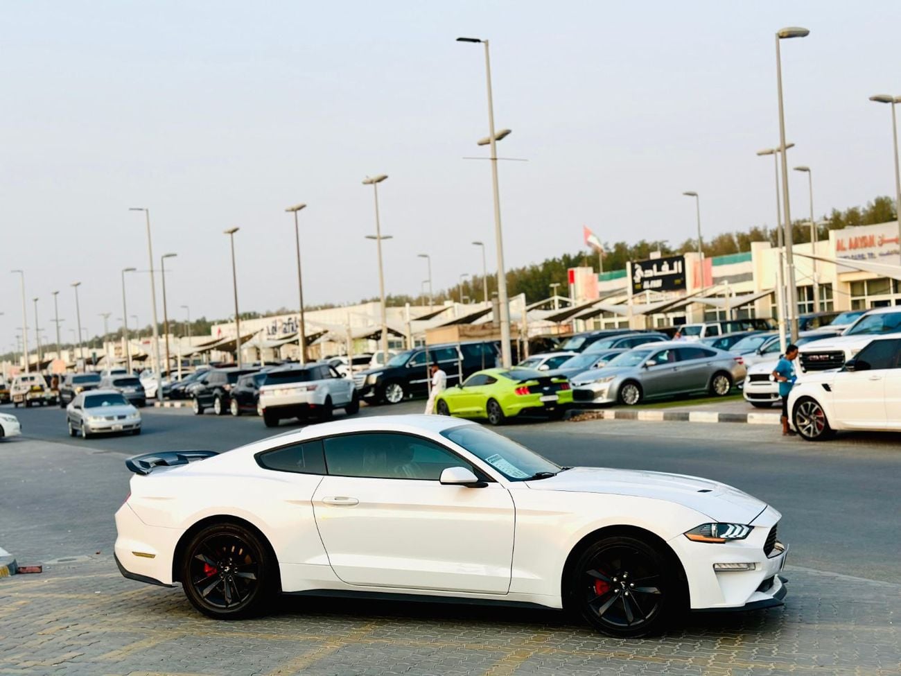 Ford Mustang STANDARD | Paddle Shifters | Fog Lights | Blindspot | # 88305