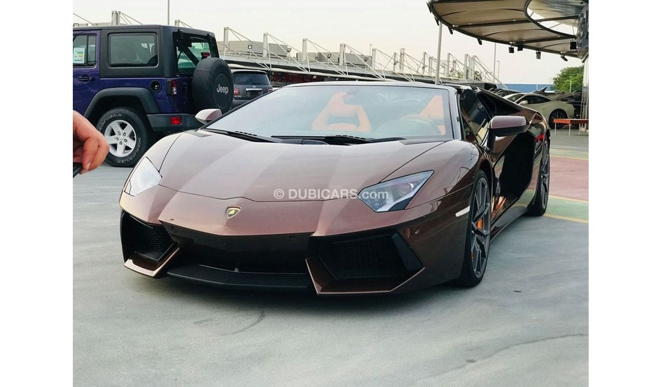 Lamborghini Aventador Hermes Edition