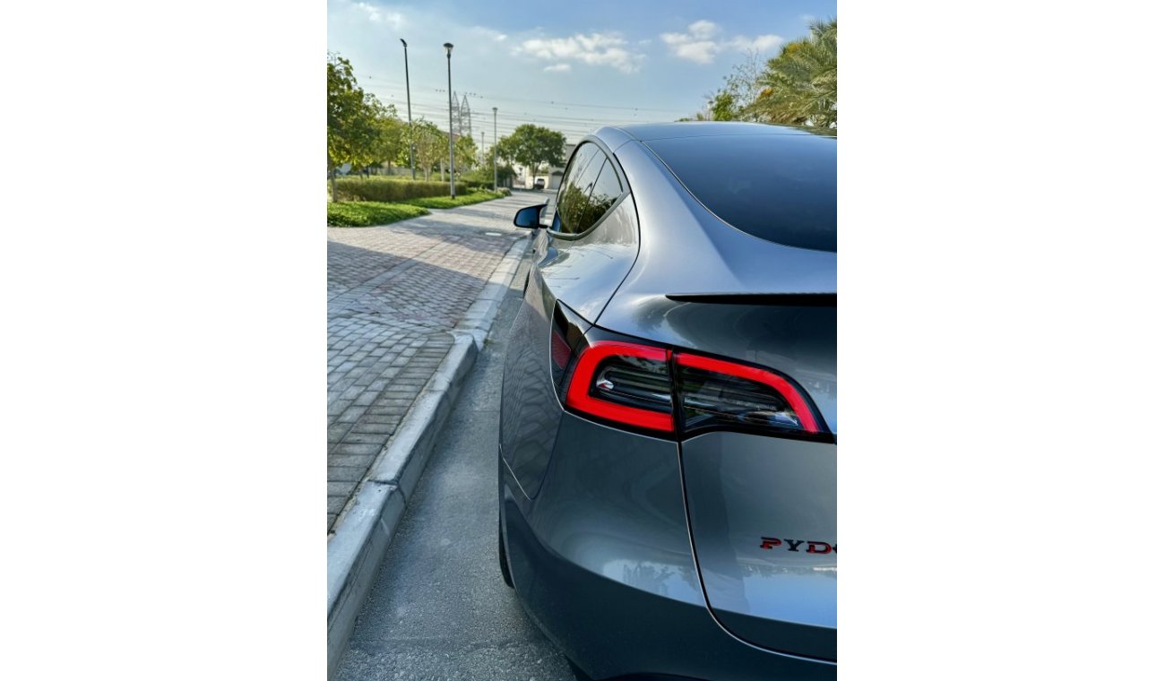 Tesla Model Y Performance