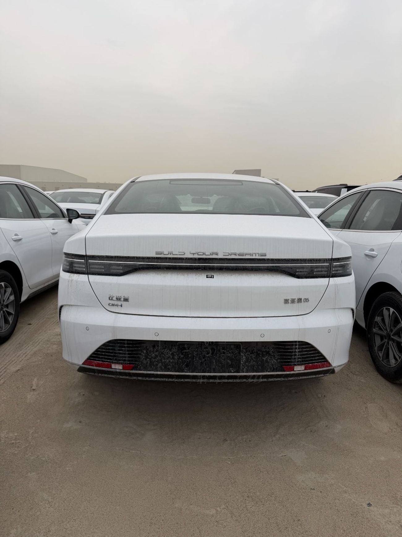 BYD Destroyer 05
