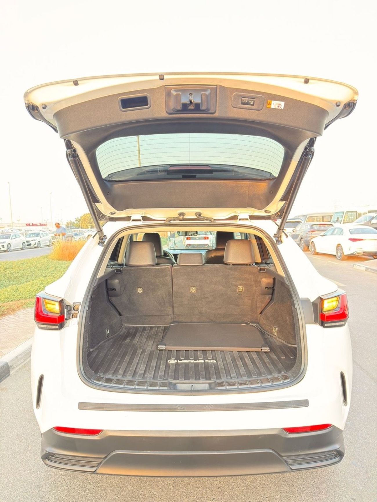 Lexus NX 250 Lexus NX 250 premium 2025