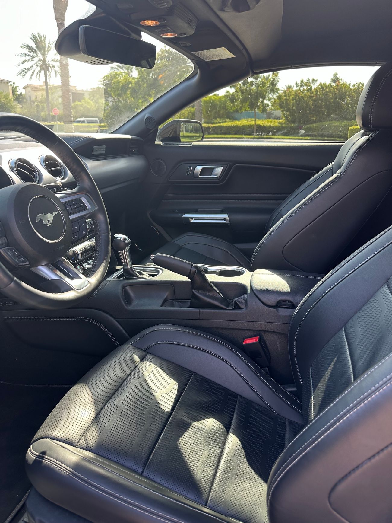 Ford Mustang GT (Not Flooded)