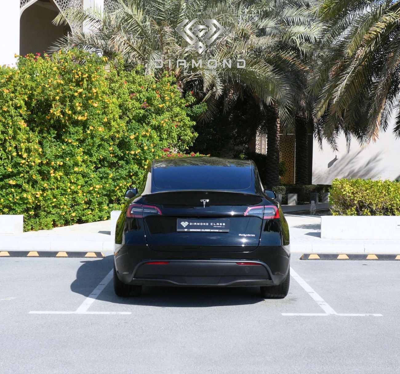 تسلا موديل Y Long Range (AWD)