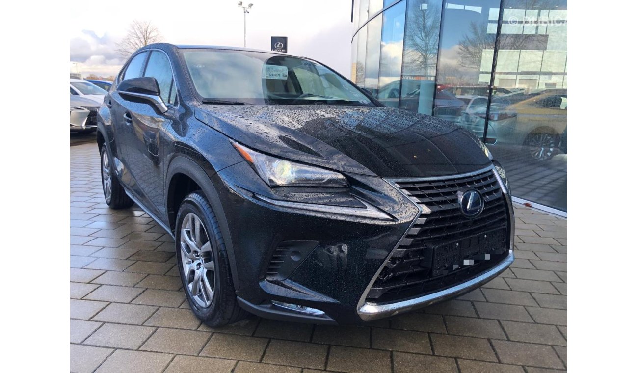 Lexus NX300 NX300H/2020/EXPORT/E-FOUR/2.5L