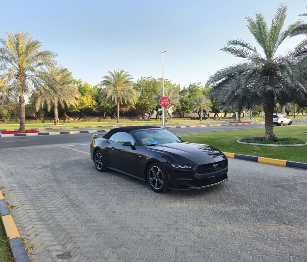 Ford Mustang EcoBoost 2.3L Convertible A/T