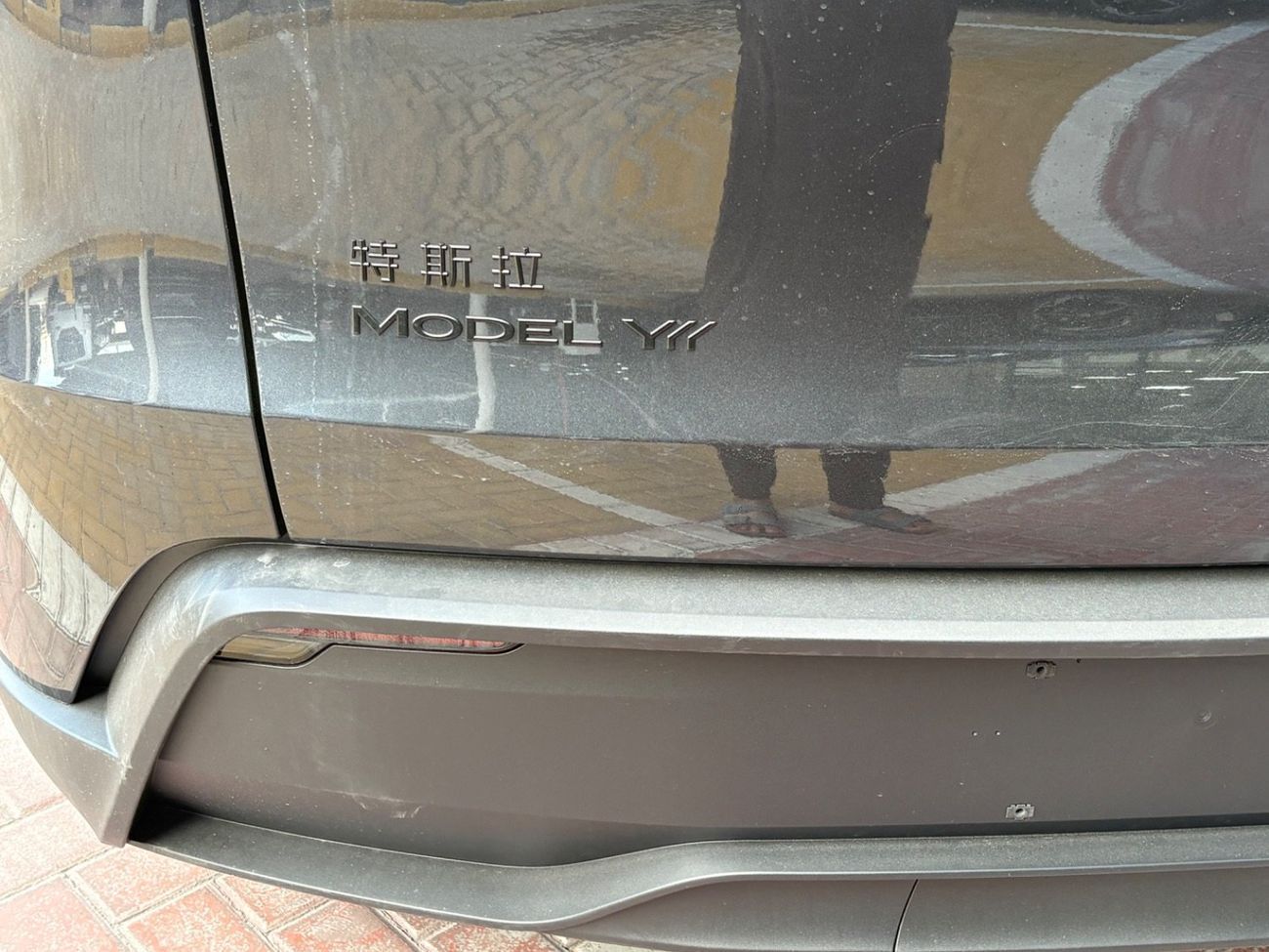 تسلا موديل Y