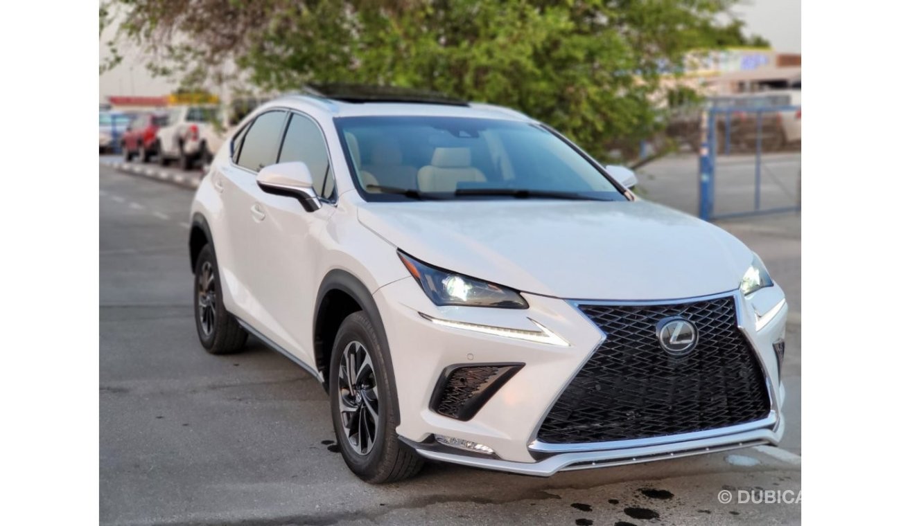 Lexus NX300 LEXUS N300 FULL OPTION 2021