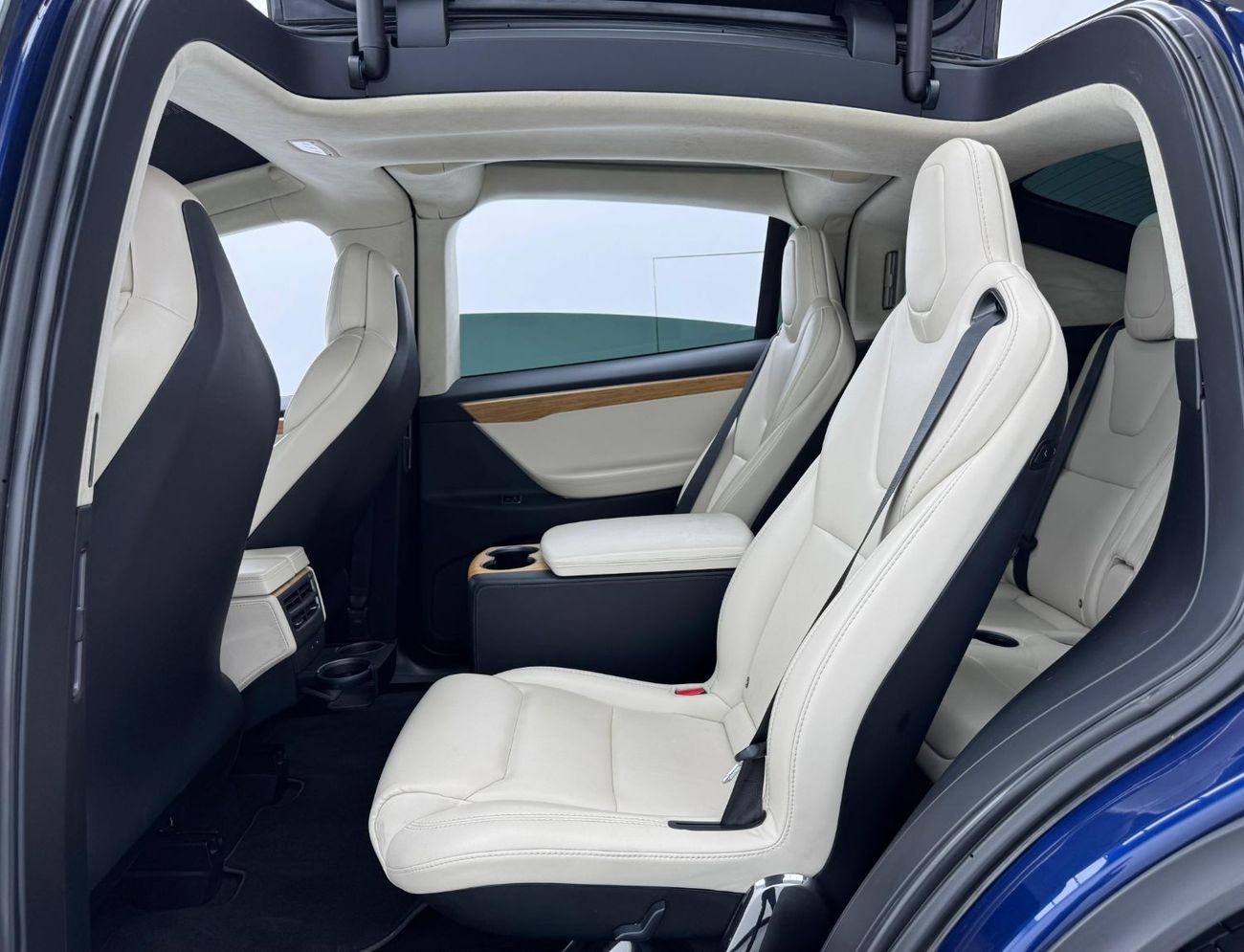 Tesla Model X 2018 Tesla Model X 100D, 2026 Battery Warranty Drive Unit Warranty, Tesla Service History, GCC