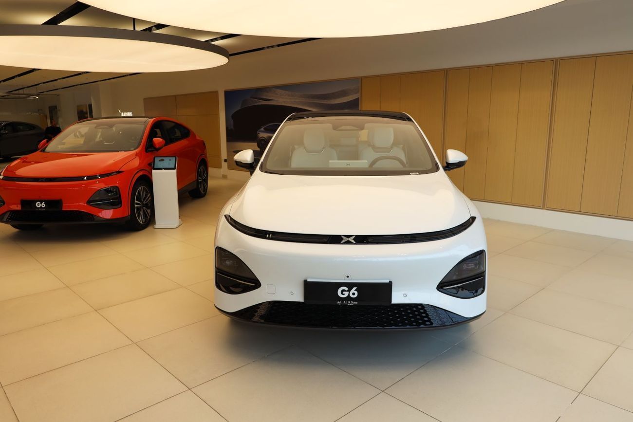 اكس بنغ G6 RWD Standard Range