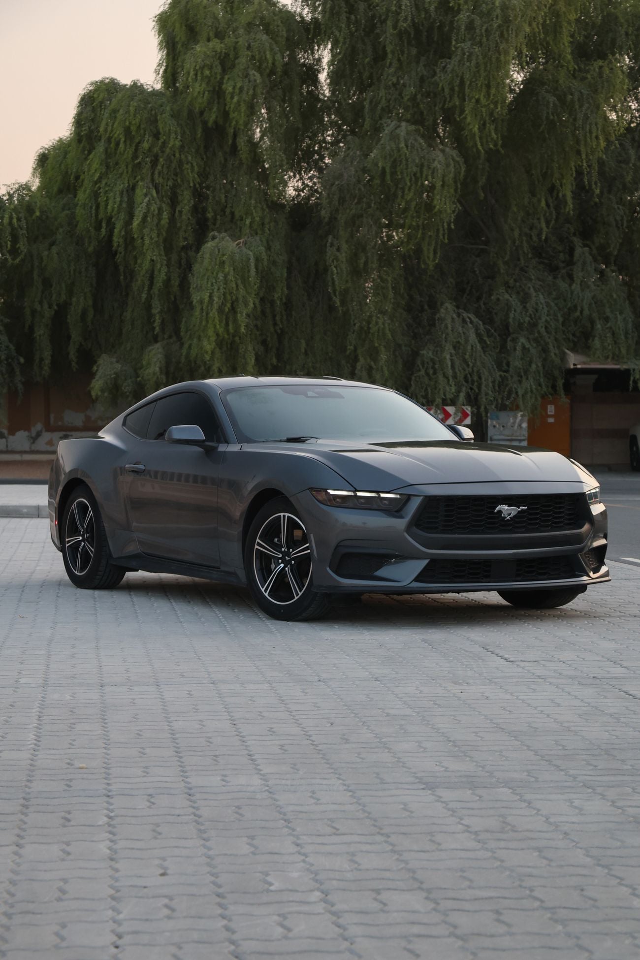 Ford Mustang STANDARD, миниатюра 3