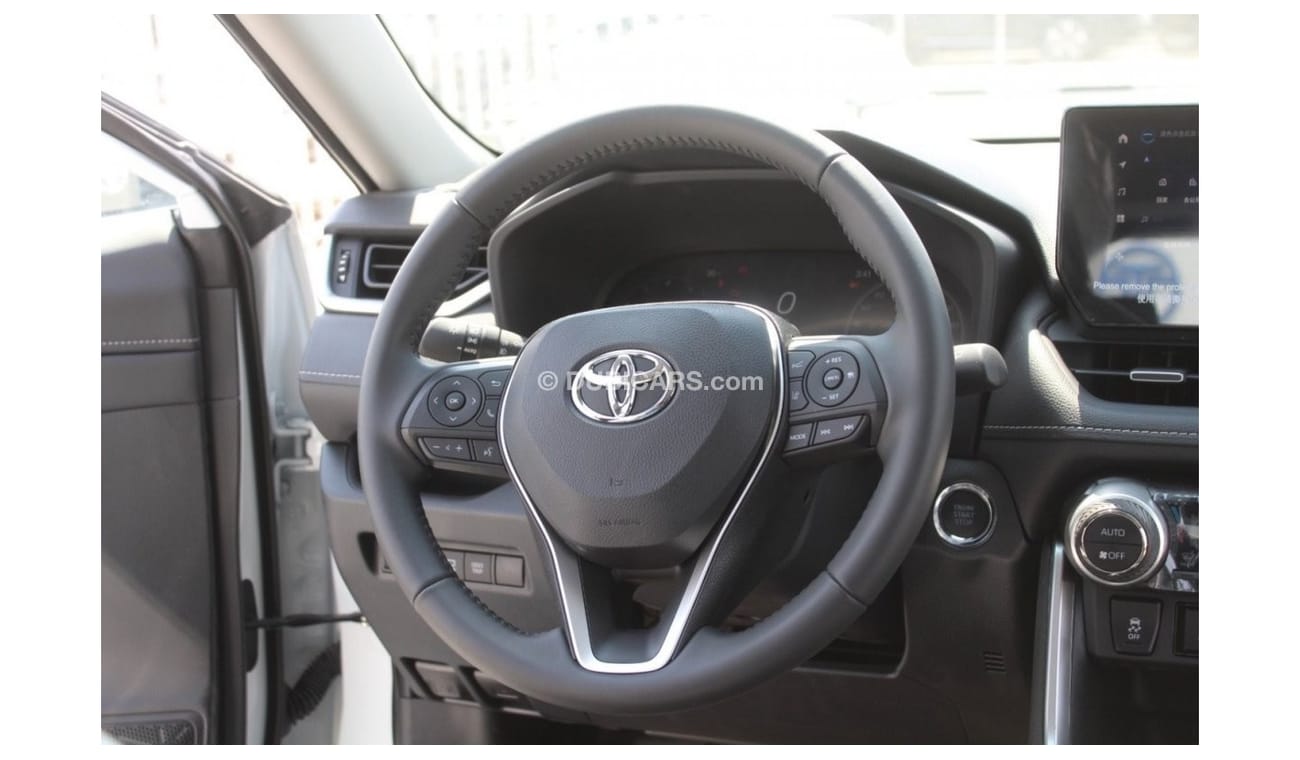 Toyota RAV4 2023 RAV4 2.0L 20th Anniversary 2WD