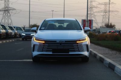 BYD Destroyer 05 55 Luxury Edition